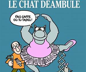 Le Chat déambule